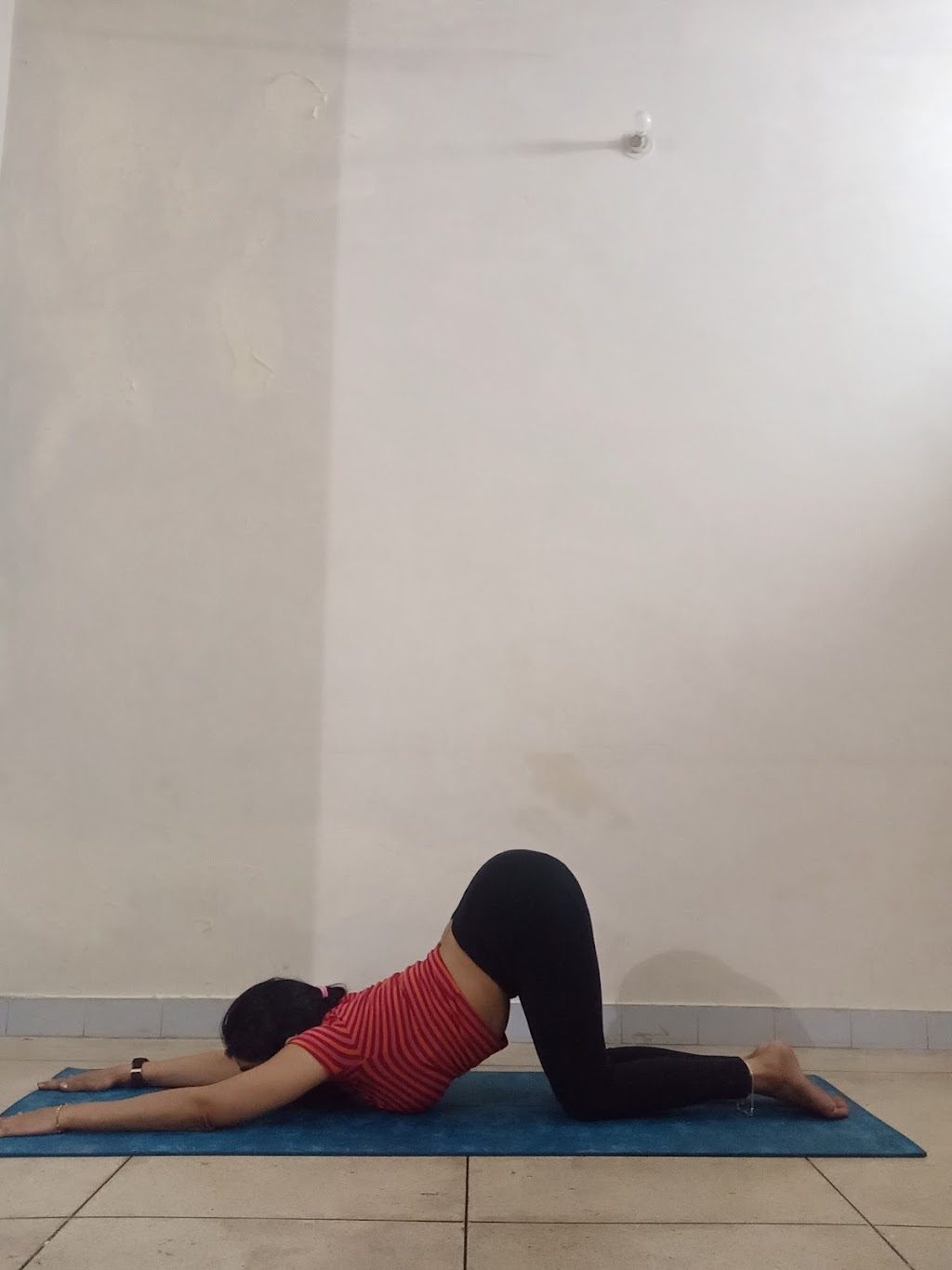Yoga Ministry Of Canada | 2464 Clearbrook Rd, Abbotsford, BC V2T 2X8, Canada | Phone: (204) 963-3674
