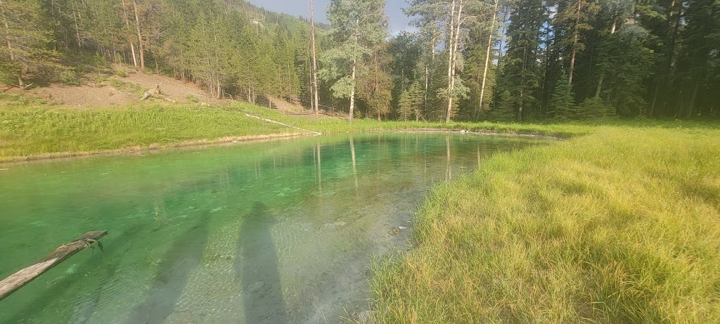 Sulphur Springs | East Kootenay A, BC V0B 1H0, Canada | Phone: (250) 865-4015