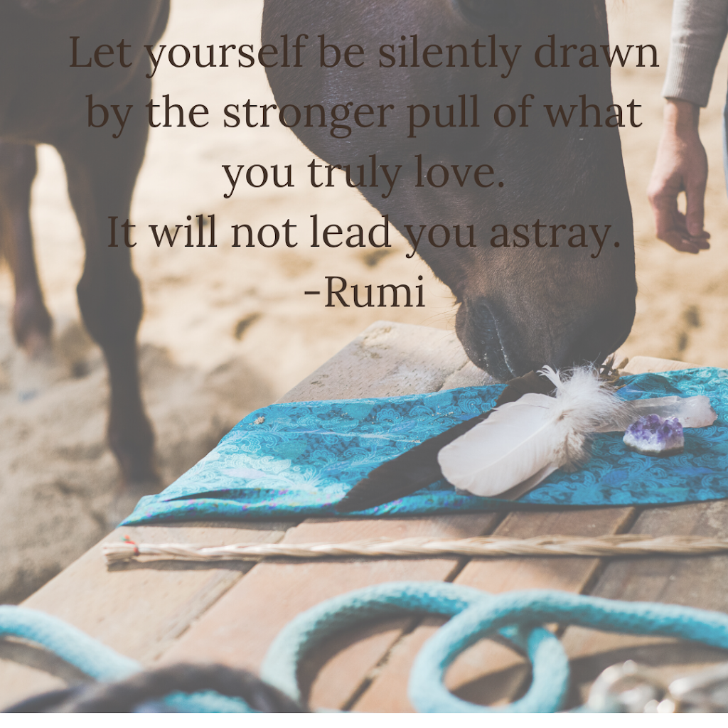 Truth and Beauty Equine Guided Healing | 700 Upper Ganges Rd, Salt Spring Island, BC V8K 1R9, Canada | Phone: (250) 221-9643