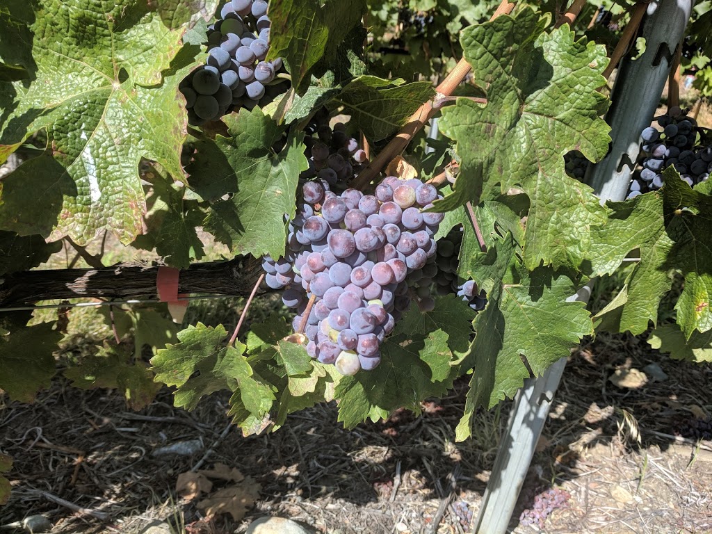 Culmina Family Estate Winery | 4790 Wild Rose St, Oliver, BC V0H 1T0, Canada | Phone: (250) 498-0789