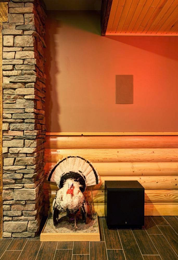 All Pro Audio Video | 33095 Larkspur Ct, New Haven, MI 48048, USA | Phone: (248) 757-4078