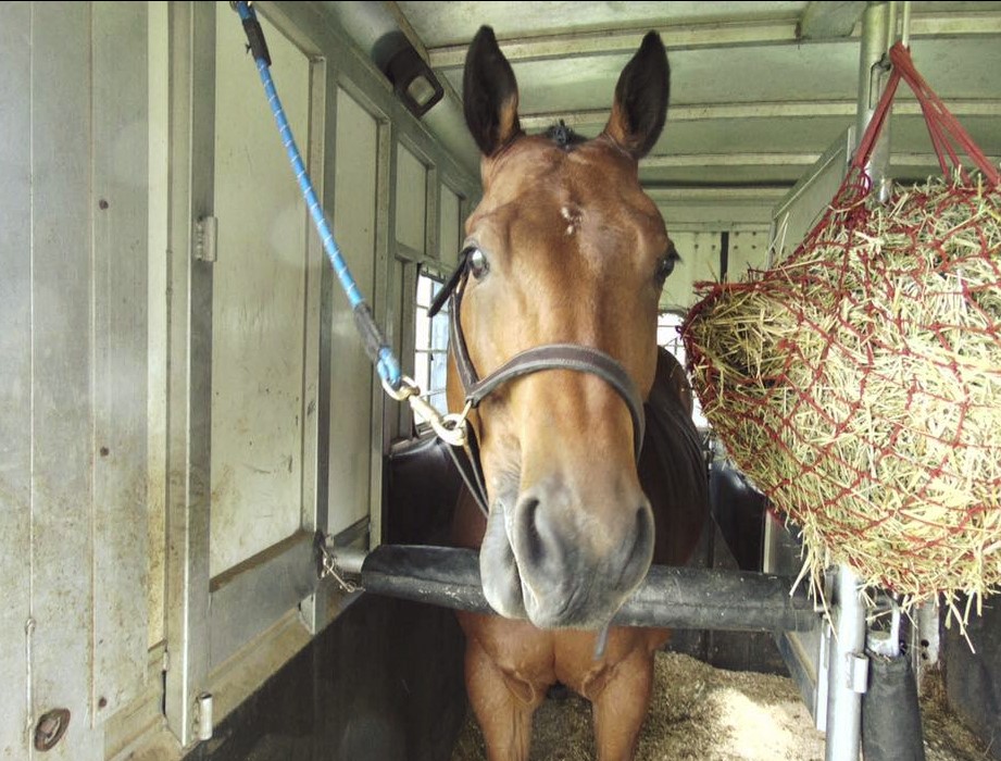 Bayview Equestrian Centre | 3180 Cedar Springs Road #A, Burlington, ON L7P 0P7, Canada | Phone: (905) 331-6516