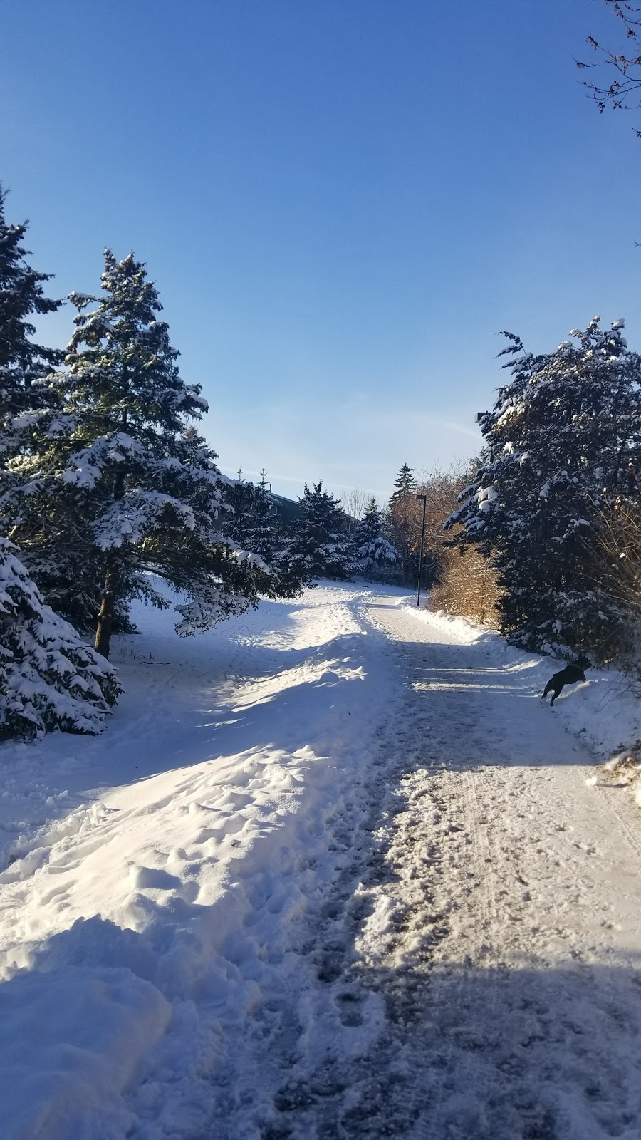 Windwood Park | 2881 Windwood Dr, Mississauga, ON L5N 2K9, Canada