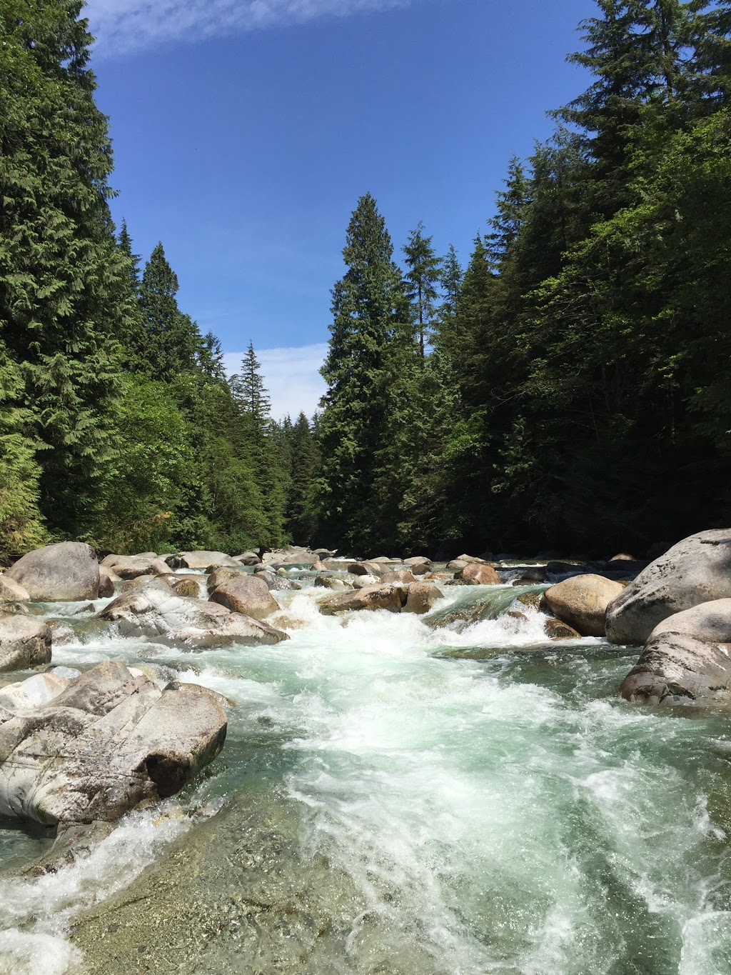 Widgeon Valley National Wildlife Area | Greater Vancouver A, BC, Canada