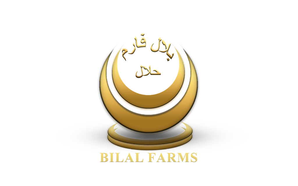 Bilal Farms | 1926 Landry St, Clarence Creek, ON K0A 1N0, Canada | Phone: (613) 796-8604