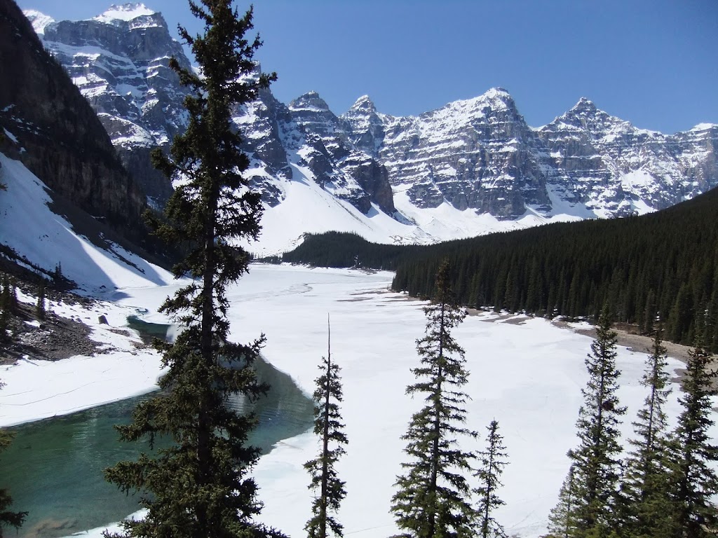 Lone Wolf Tours | 251 Berwick Dr NW, Calgary, AB T3K 1P6, Canada | Phone: (403) 246-9586