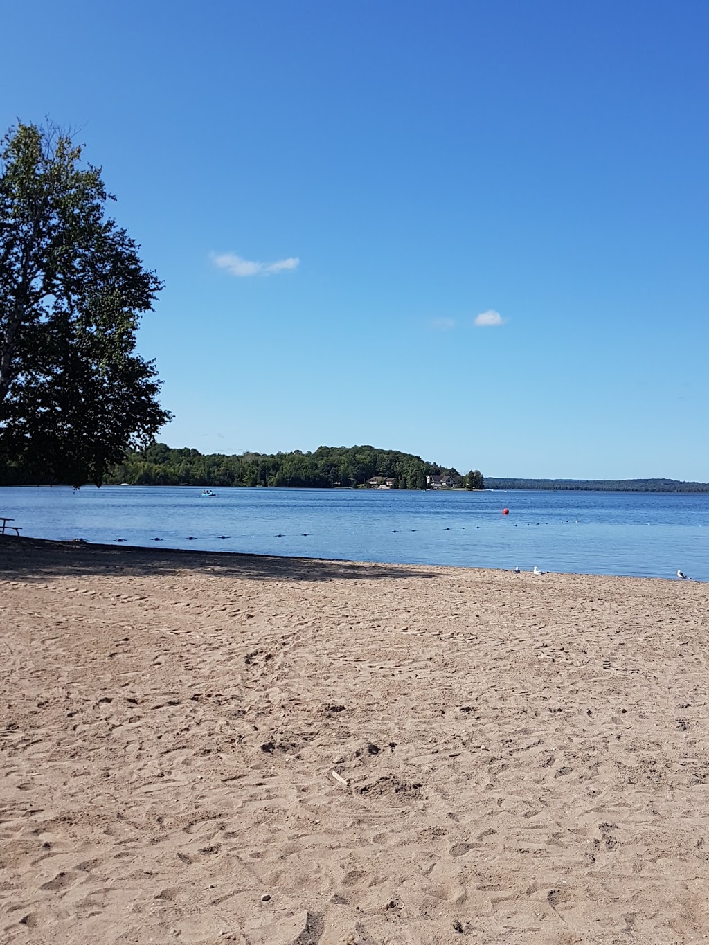 Bass Lake Provincial Park | 2540 Bass Lake Side Rd E, Orillia, ON L3V 6H2, Canada | Phone: (705) 326-7054