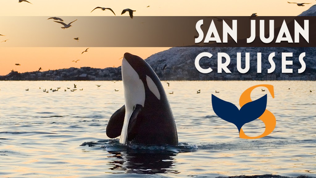 San Juan Cruises | 355 Harris Ave #104, Bellingham, WA 98225, USA | Phone: (800) 443-4552