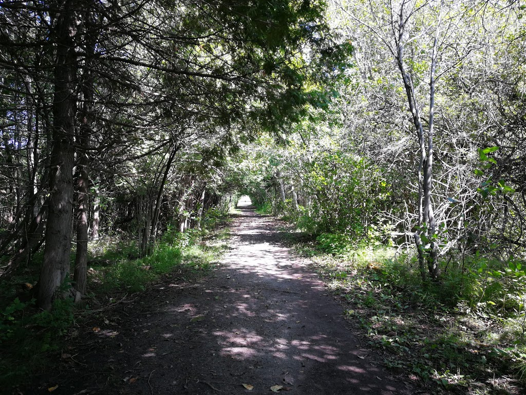 NCC Greenbelt P10 | Lime Kiln Trail, Ottawa, ON K2R 1H3, Canada