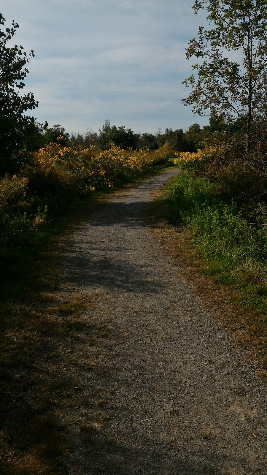 Harold S Bradshaw Memorial Park | 510-590 Chantler Rd, Welland, ON L3B 5N8, Canada