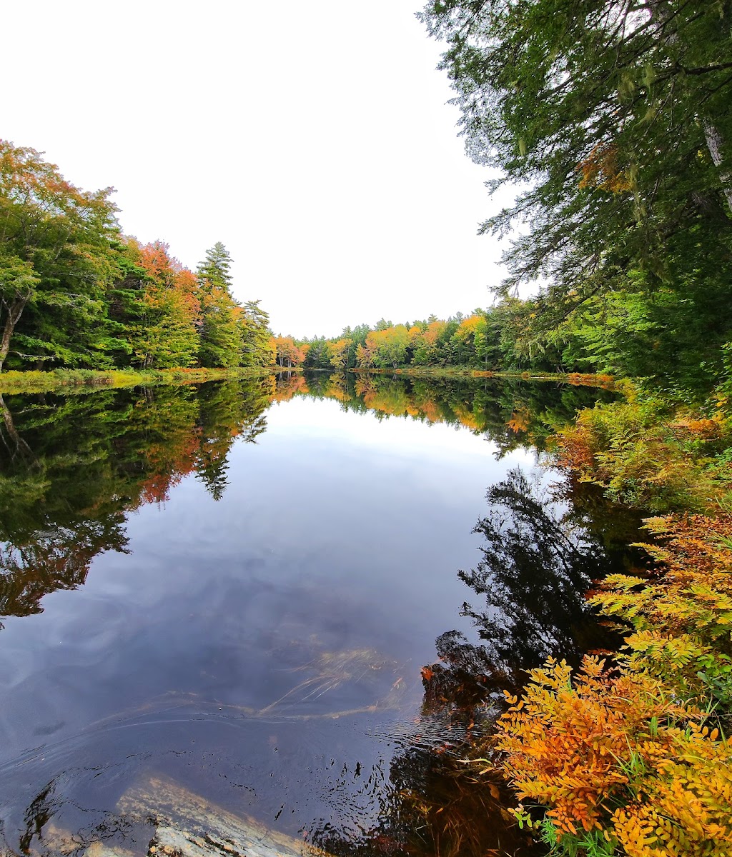 Kejimkujik National Park and National Historic Site | 3005 Kejimkujik Main Parkway, Caledonia, NS B0T 1B0, Canada | Phone: (902) 682-2772