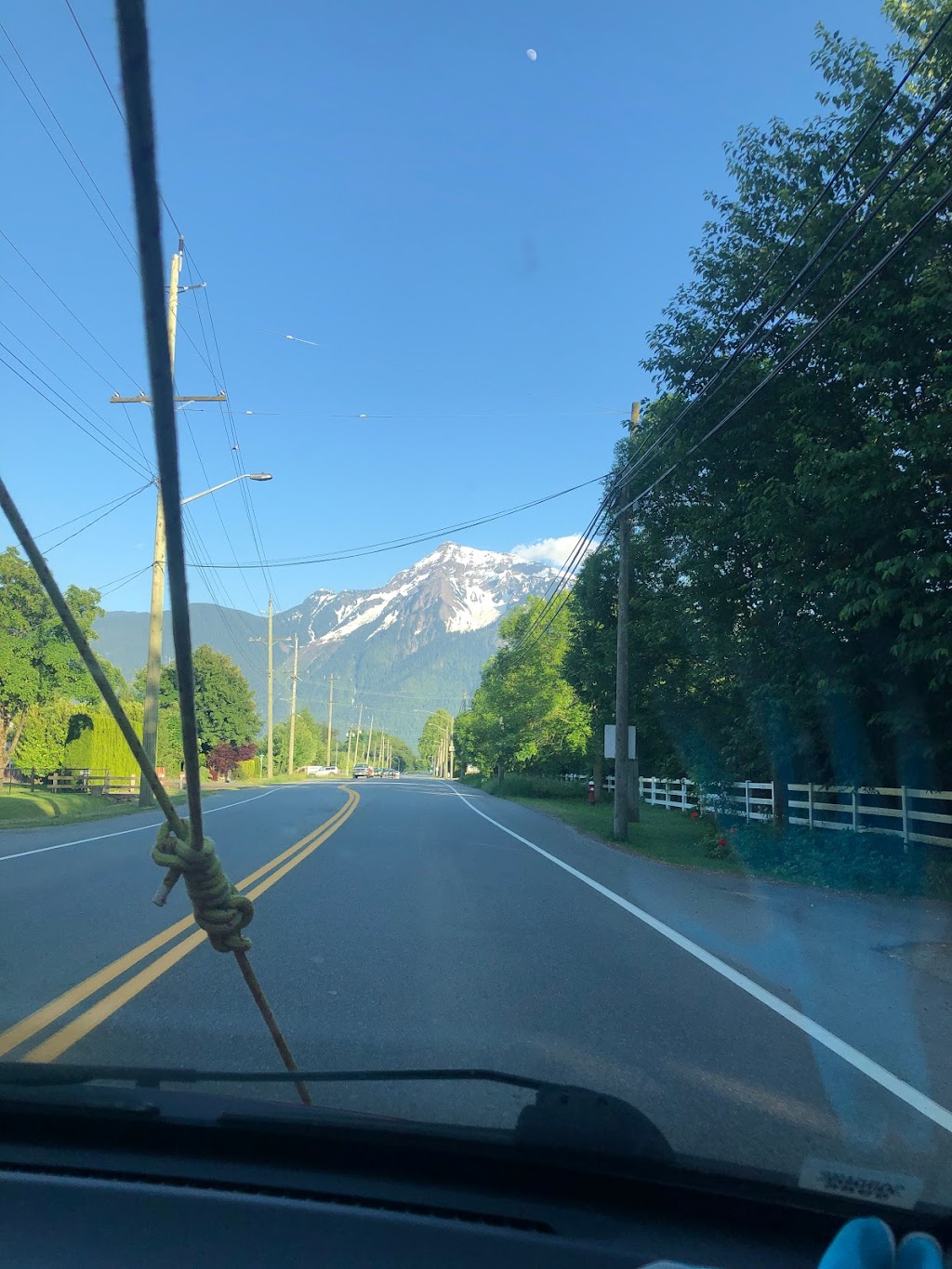 BNC Ornamentals | 6803 Agassiz-Rosedale Hwy, Agassiz, BC V0M 1A1, Canada | Phone: (604) 796-0930