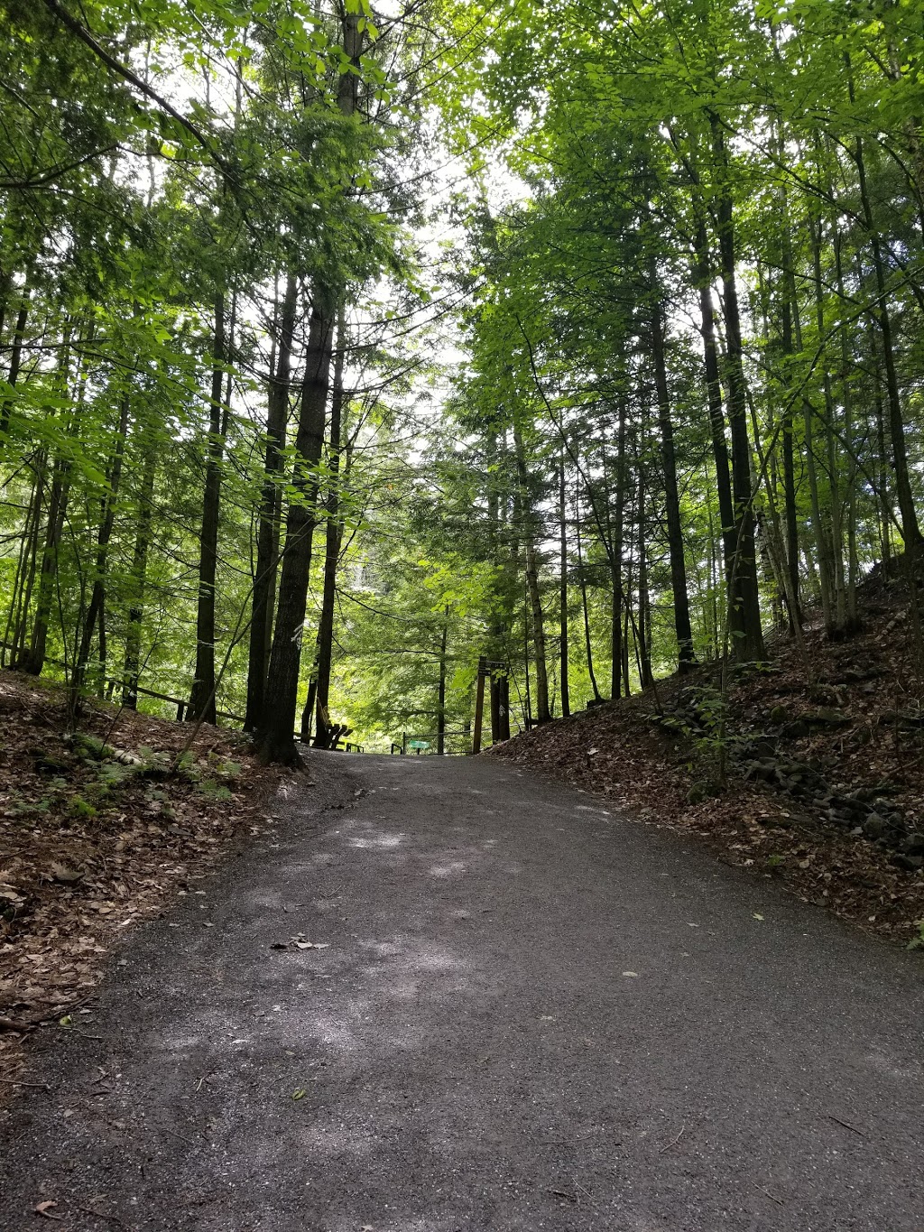 Parc de la Gorge de Coaticook | 400 Rue Saint-Marc, Coaticook, QC J1A 2T7, Canada | Phone: (819) 849-2331
