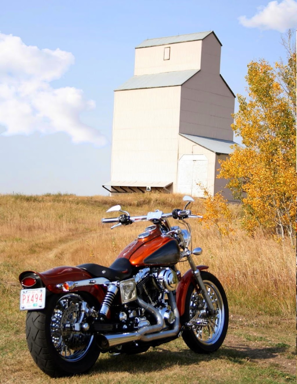 Jus Cuz Customs, Inc. | 10043 63 Ave NW, Edmonton, AB T6E 4Z2, Canada | Phone: (780) 468-6847