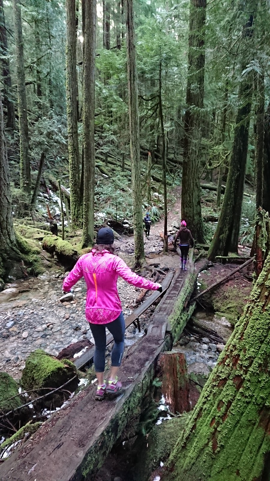 Mount Elphinstone Provincial Park | Crow Road, Roberts Creek, BC V0N 2W1, Canada | Phone: (800) 689-9025