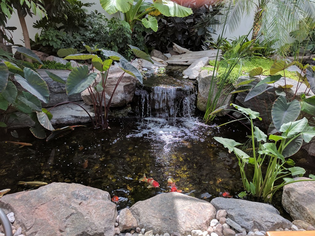 Aquatopia Water Garden Conservatory | 2710 March Rd, Carp, ON K0A 1L0, Canada | Phone: (613) 225-7663