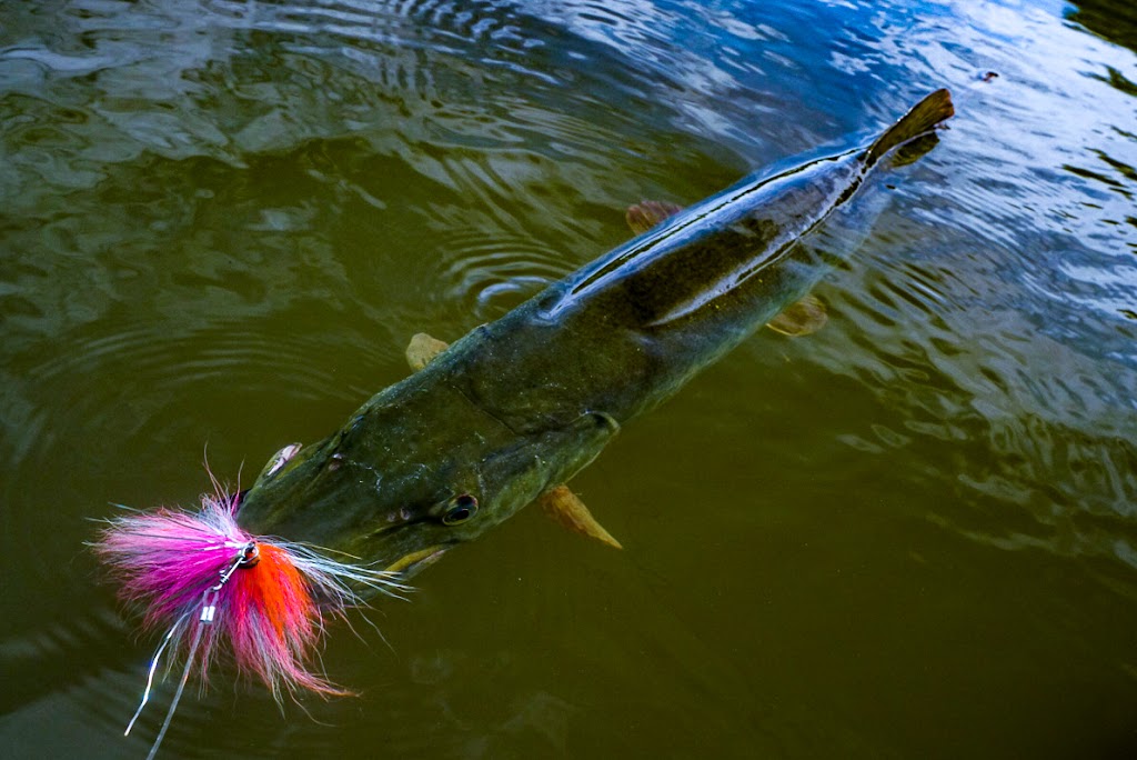 Ezekiel Flyfishing | 6 Rue Masson, Saint-Roch-de-lAchigan, QC J0K 3H0, Canada | Phone: (514) 893-0586
