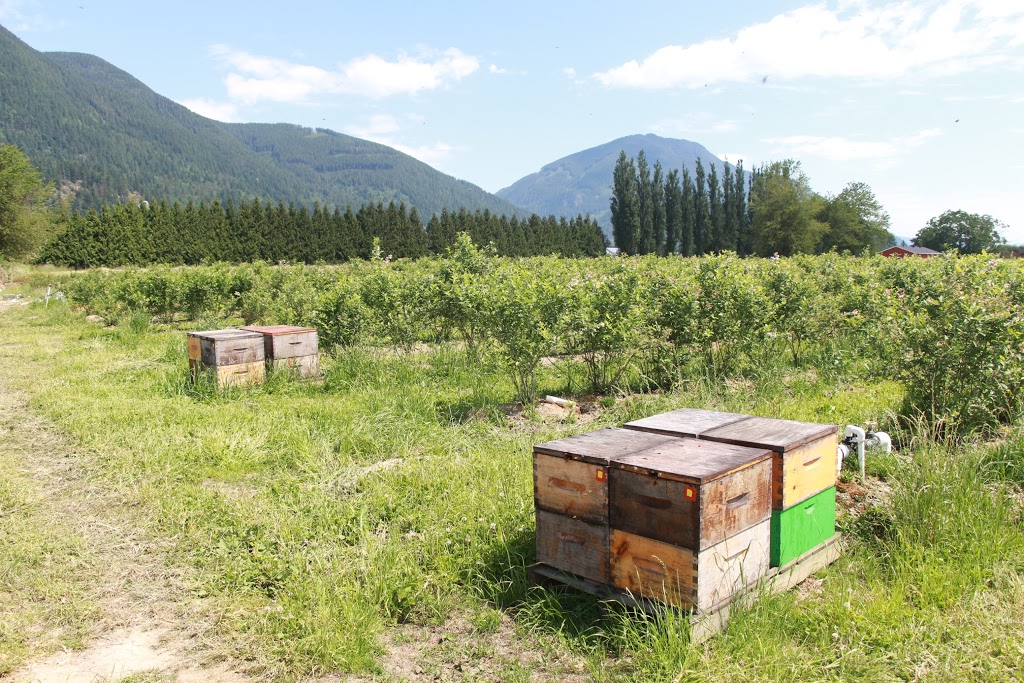 WINGREEN Farms - Wingreen International (Canada) Ltd. | 8539 River Rd S, Dewdney, BC V0M 1H0, Canada | Phone: (604) 370-1187
