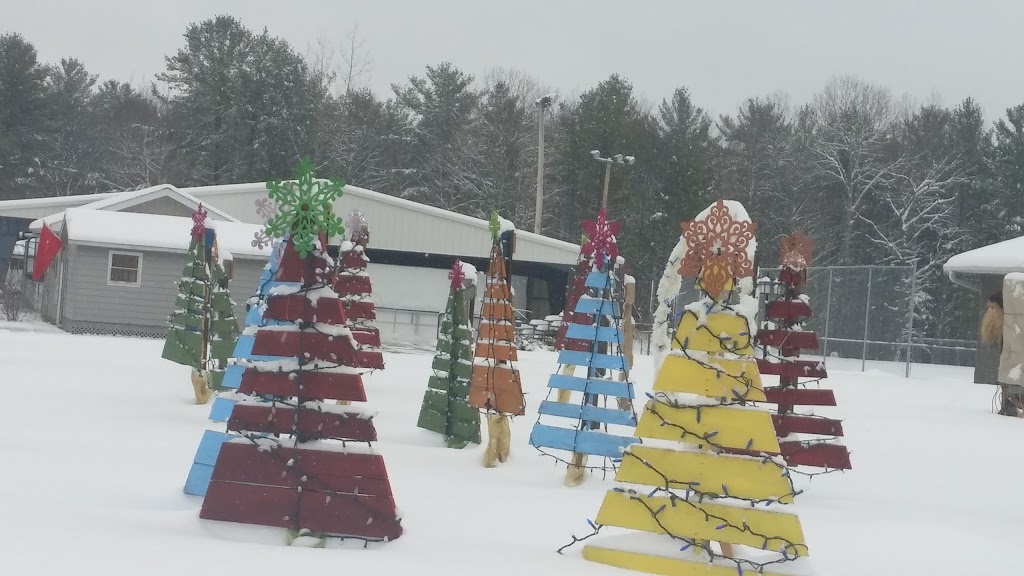 Buckhorn Community Centre | 1782 Lakehurst Rd, Buckhorn, ON K0L 1J0, Canada | Phone: (705) 657-8833