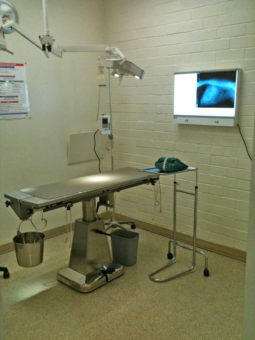 North Bluff Animal Hospital | 13971 16 Ave, Surrey, BC V4A 1P8, Canada | Phone: (604) 531-0771
