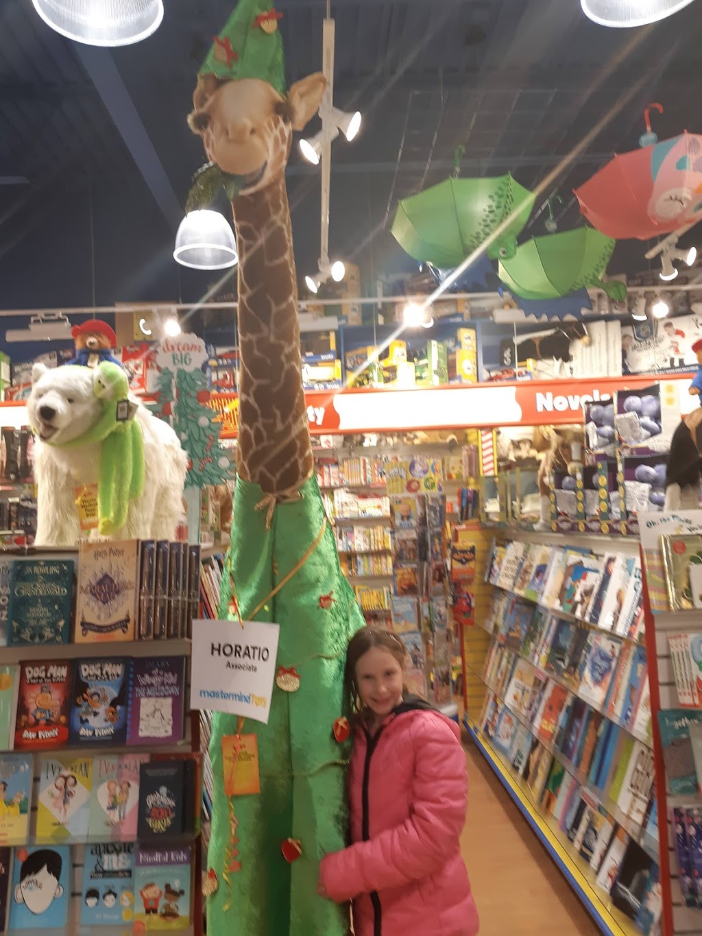 Mastermind Toys | 612 Hespeler Rd, Cambridge, ON N1R 6J8, Canada | Phone: (519) 740-3964