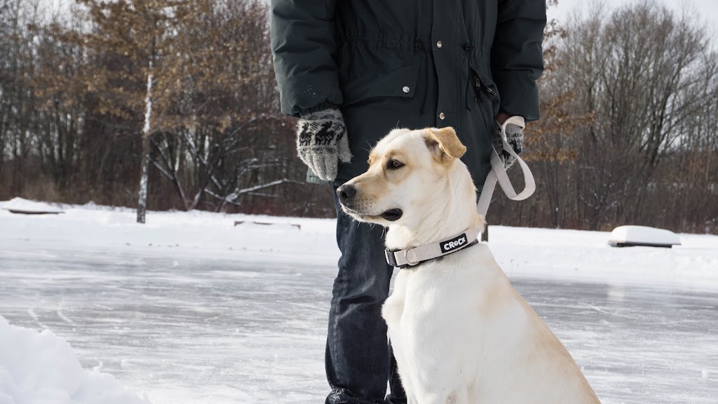 Crocx - Produits naturels de chanvre pour animaux | 455 4e rang de Simpson, Saint-Cyrille-de-Wendover, QC J1Z 1T8, Canada | Phone: (819) 850-2643