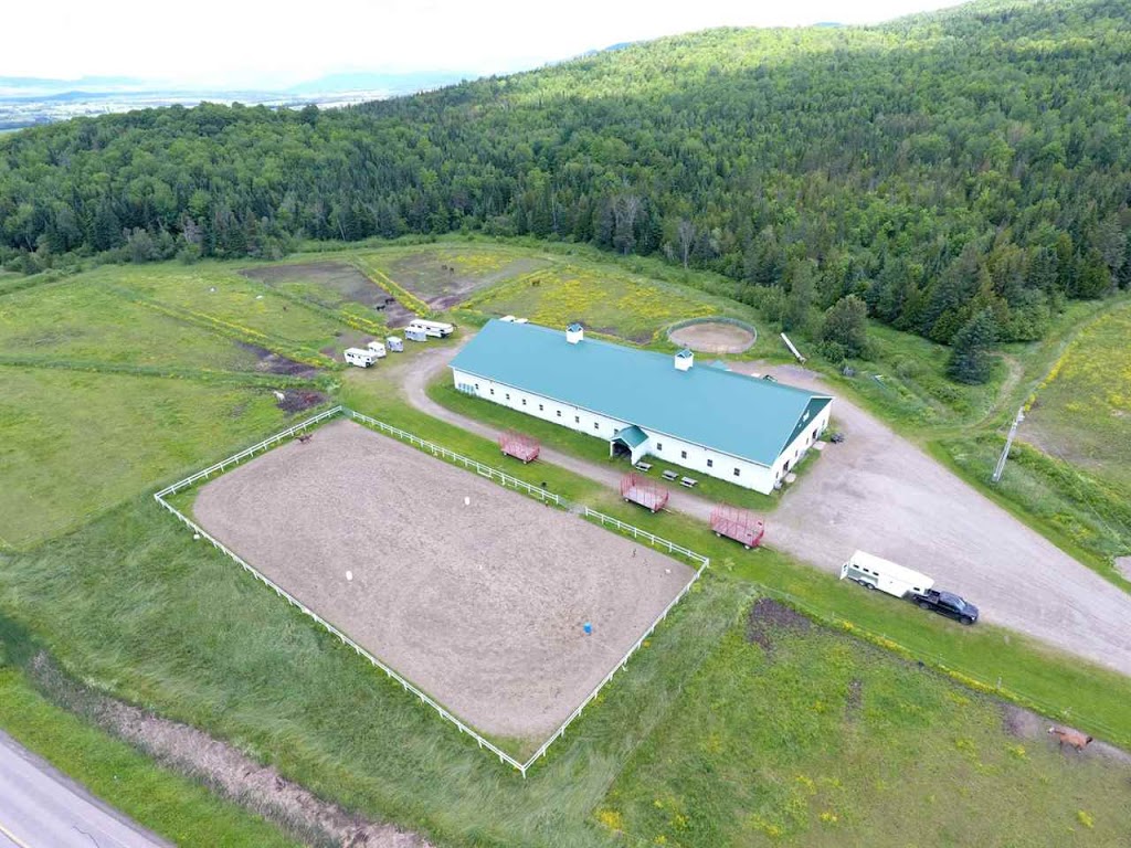 Missisquoi Valley Arabian Equestrian Center | 1877 VT-105, Newport, VT 05855, USA | Phone: (802) 334-8560