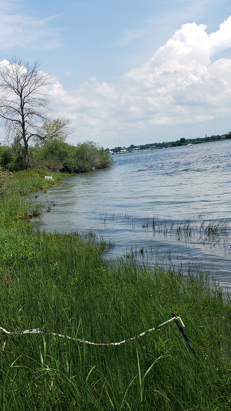 River Lea | Park Rd, Grand Island, NY 14072, USA