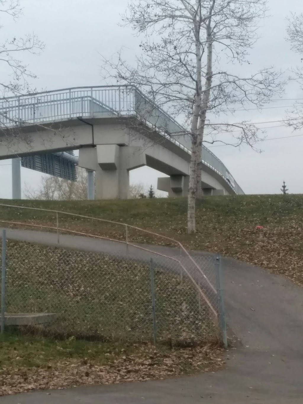 Canfield Road Dog Park | 11718 Canfield Rd SW, Calgary, AB T2W 1V5, Canada