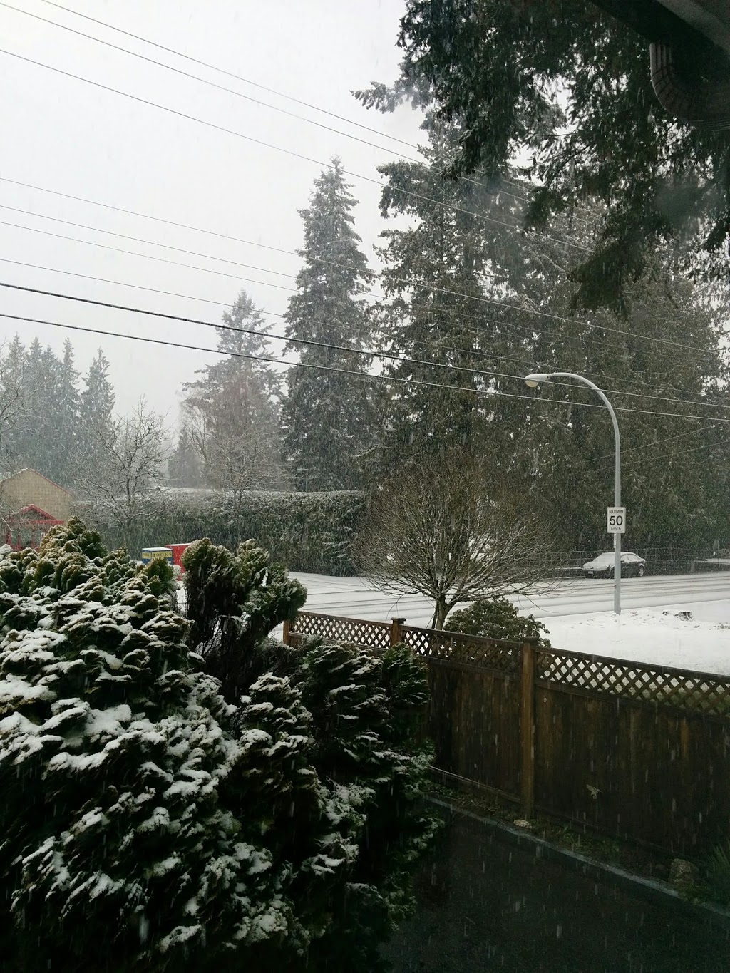 Coyote Springs Park | 8108 164a St, Surrey, BC V4N 0H7, Canada