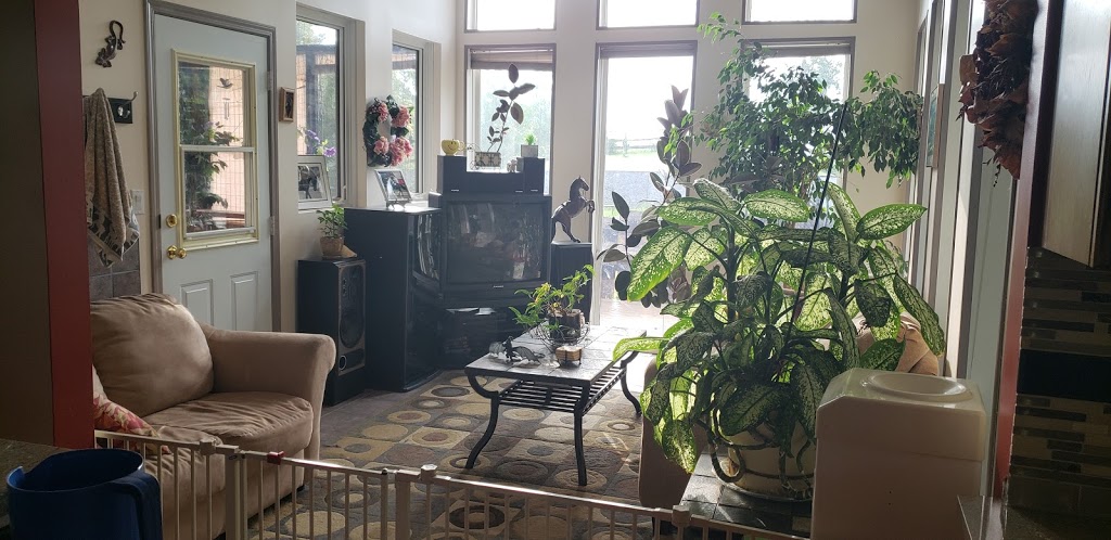 Riverview Riding and Respite | 2-6 Upland Dr, Spruce Grove, AB T7Y 1B9, Canada | Phone: (780) 719-9982