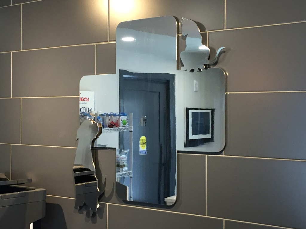 Blue Cross Animal Hospital | 612 King St W, Hamilton, ON L8P 1C2, Canada | Phone: (905) 522-6879