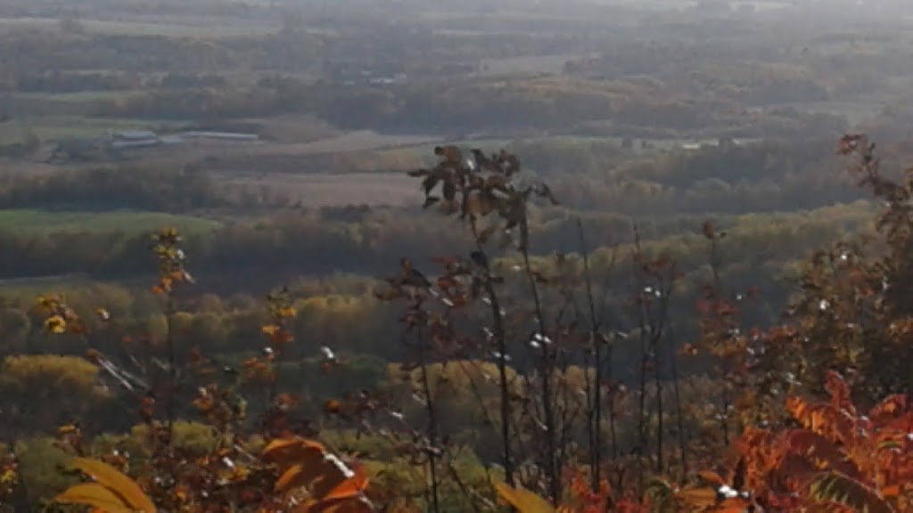 Randsland Farms Inc | 1050 Pereau Rd, Canning, NS B0P 1H0, Canada | Phone: (902) 582-7705