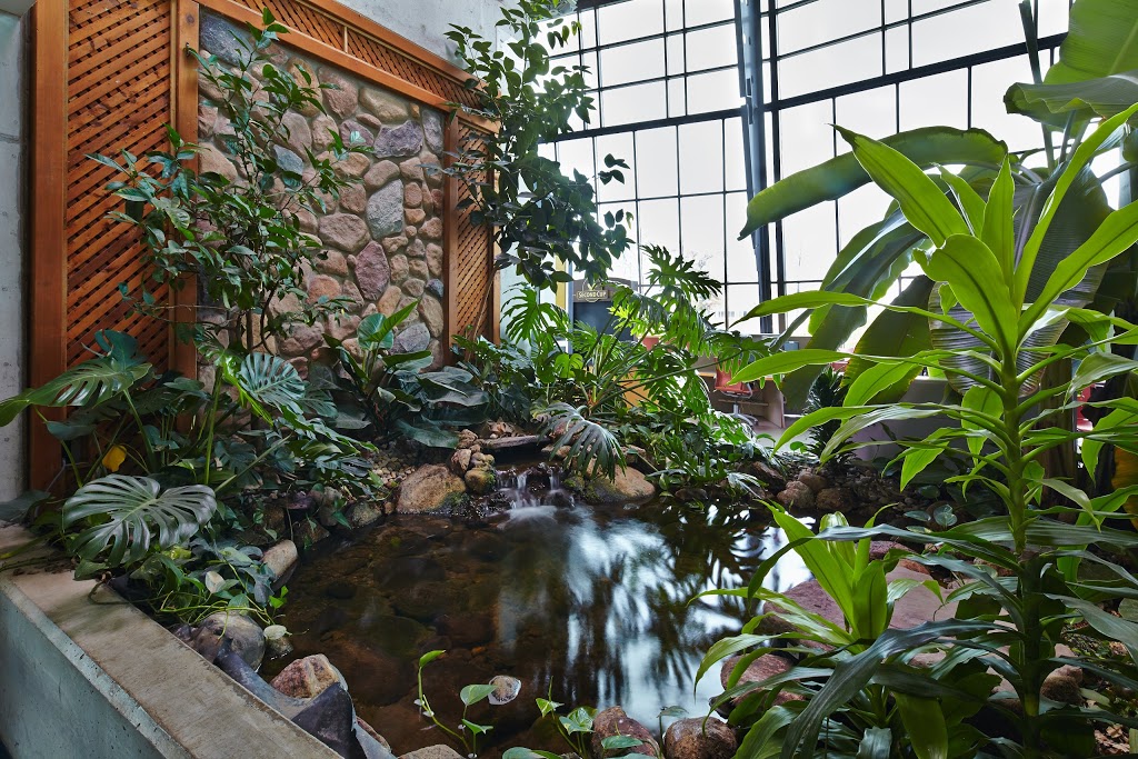 McKeil School of Business | 135 Fennell Ave W, Hamilton, ON L9C 1E9, Canada | Phone: (905) 575-2005