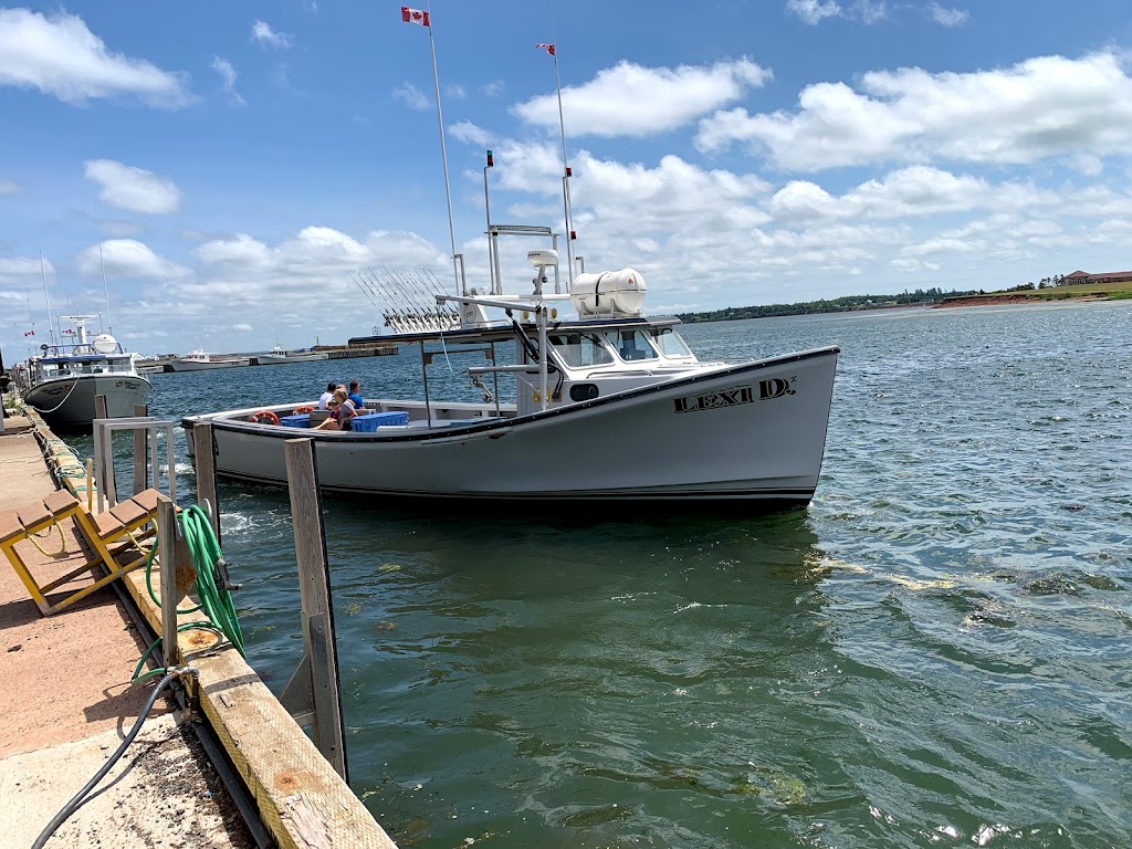 Aidens Deep Sea Fishing | 54 Harbourview Dr, North Rustico, PE C0A 1X0, Canada | Phone: (902) 963-3522