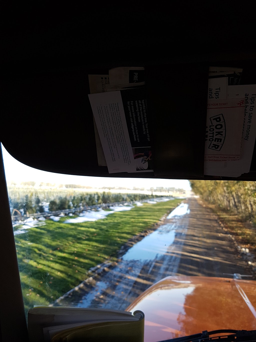 Eagle Lake Nurseries Ltd | Sw5 24 24 4W, Strathmore, AB T0J 0M0, Canada | Phone: (403) 934-3670
