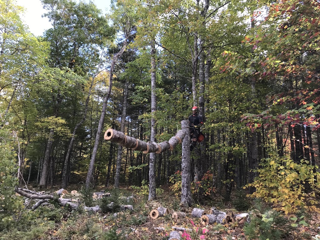 Mayfair Tree Care Ltd | 115 Northwind Rd, Pleasantville, NS B0R 1G0, Canada | Phone: (902) 543-3503