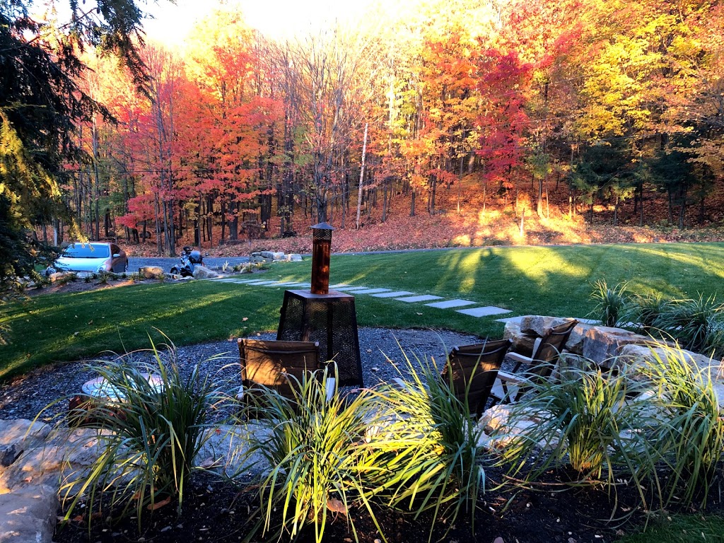 Le Bri "gîte" du Roy | 8 Rue Marcel Potvin, Shefford, QC J2M 1V4, Canada | Phone: (514) 882-3631