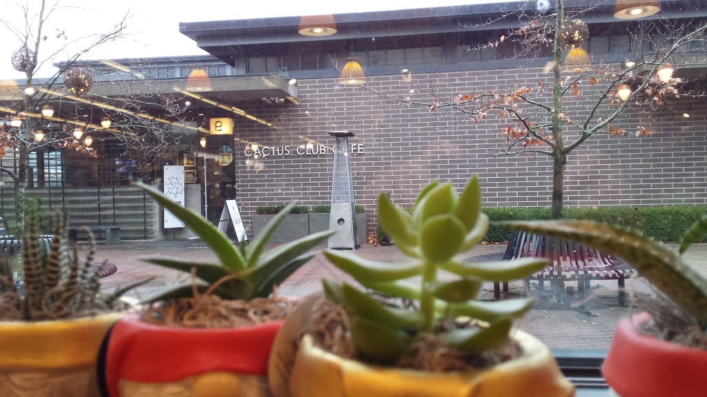 Cactus Club Cafe | 855 Main St, West Vancouver, BC V7T 2Z3, Canada | Phone: (604) 922-1707