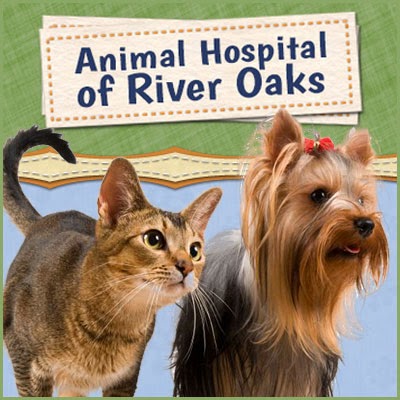 Animal Hospital Of River Oaks | 161 Old Upper Middle Rd, Oakville, ON L6H 1M2, Canada | Phone: (905) 338-6257