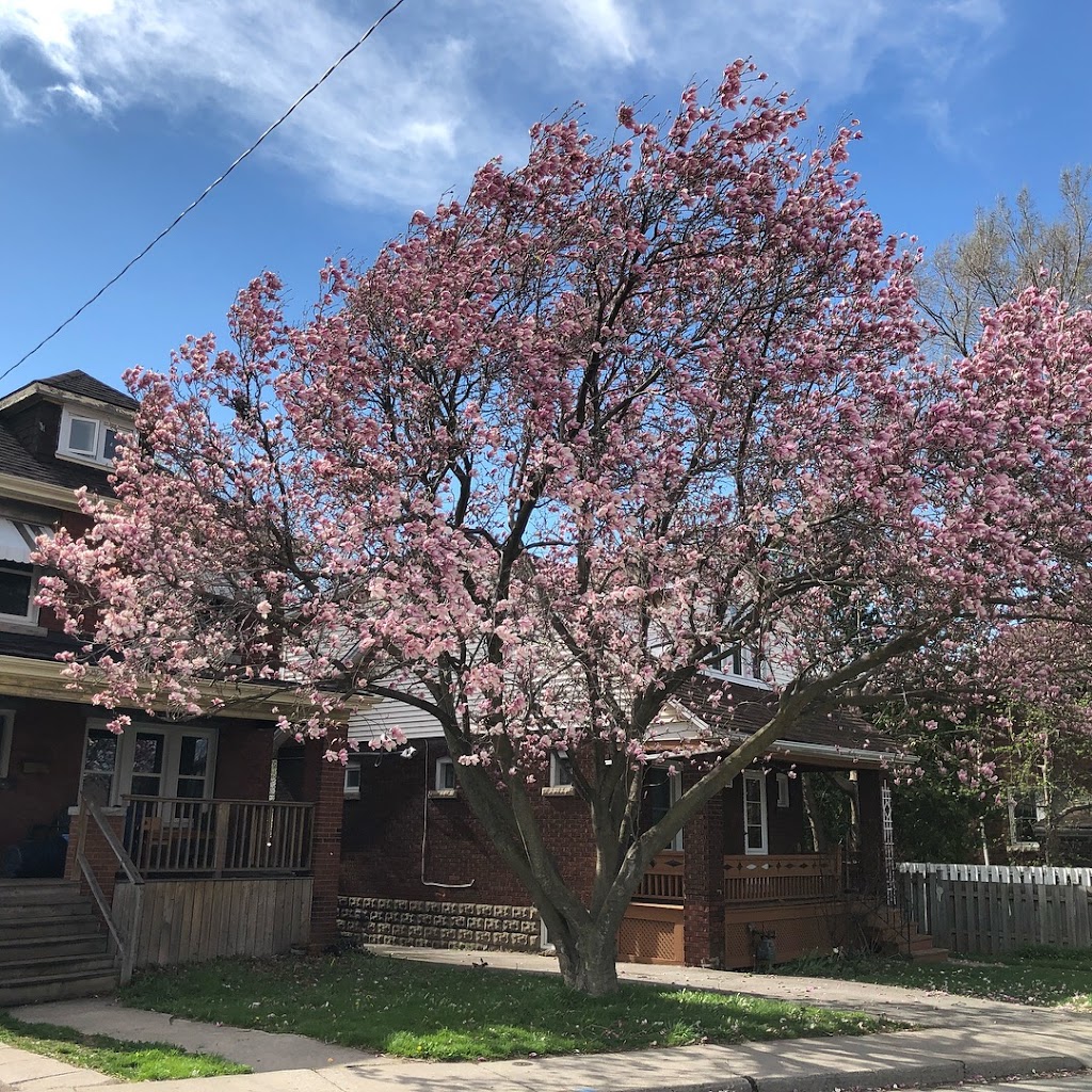 Oak Hall | 1029 Main St W, Hamilton, ON L8S 4R9, Canada | Phone: (905) 572-7883