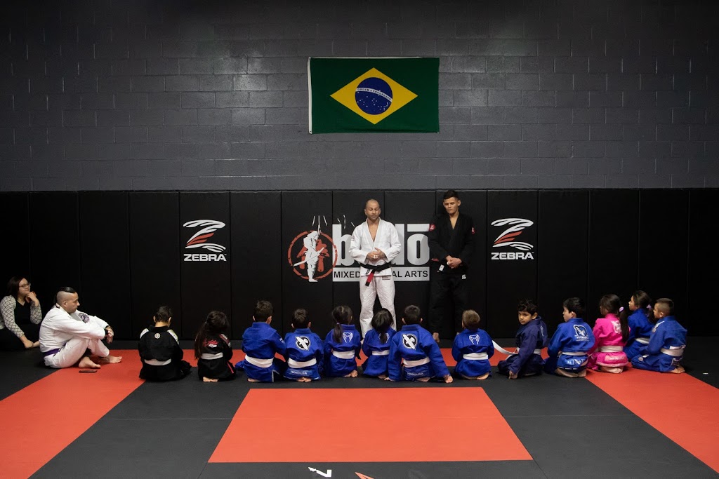 Budo Canada | 38C Apex Rd, North York, ON M6A 2V2, Canada | Phone: (416) 780-1300