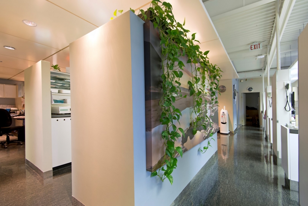 Austin Heights Dental | 1120 Austin Ave #201, Coquitlam, BC V3K 3P5, Canada | Phone: (604) 931-5550