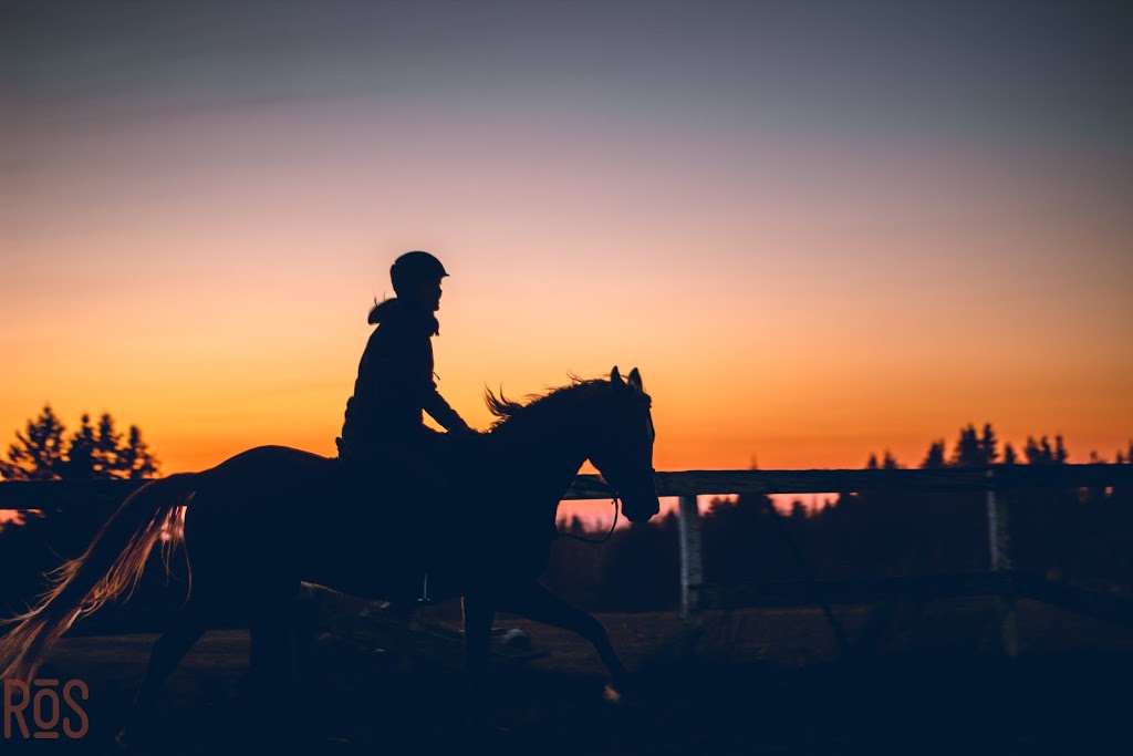 Red Orchard Stables | 566 W Galloway Rd, Galloway, NB E4W 2P9, Canada | Phone: (506) 427-0940