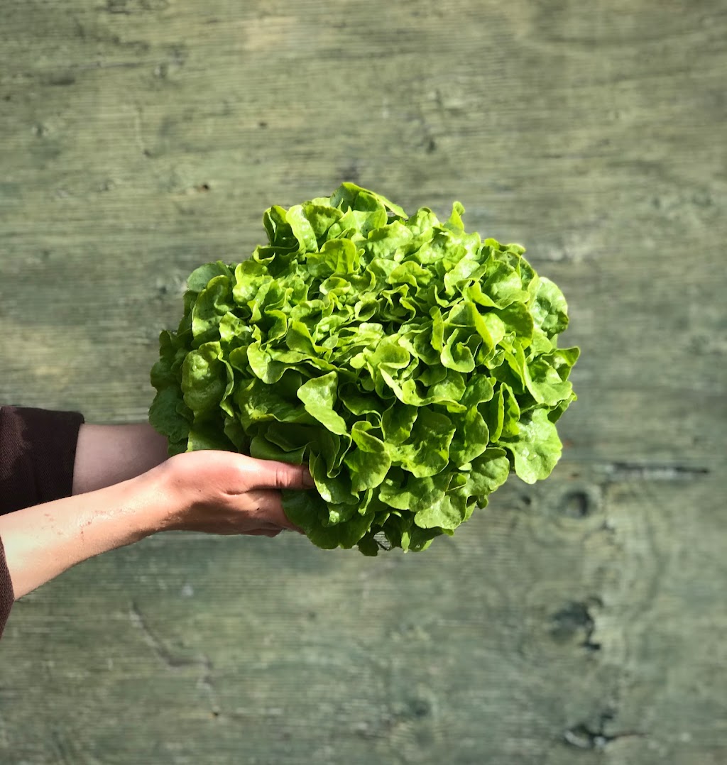 Plenty Wild Farms | 7611 Pemberton Meadows Rd, Pemberton, BC V0N 2L2, Canada | Phone: (604) 938-3730
