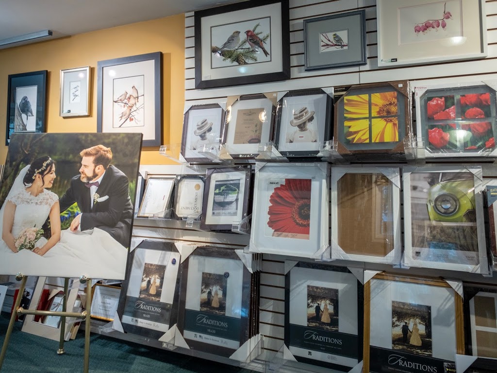 Mays Studio | 459 Rue Main, Hudson, QC J0P 1H0, Canada | Phone: (450) 458-4621