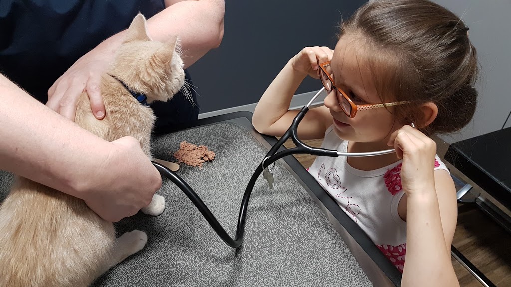 Brintnell Veterinary Hospital | 16635 50 St NW, Edmonton, AB T5Y 0S4, Canada | Phone: (780) 809-8508