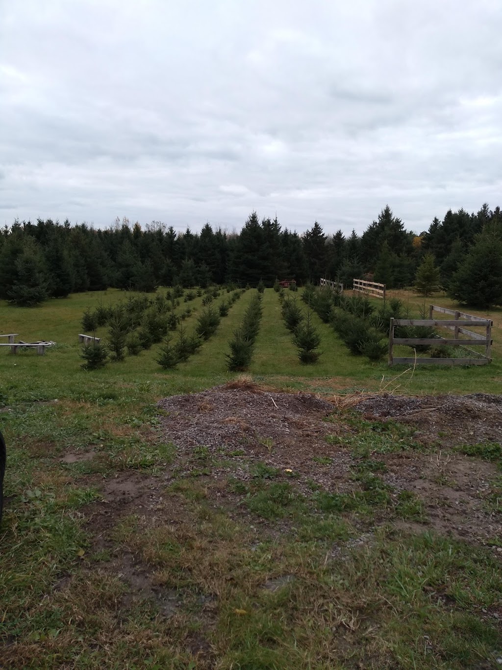 Hepburn Christmas Trees | point of interest | 432 Concession 5 W, Millgrove, ON L8B 0L5, Canada | 9056902885 OR +1 905-690-2885