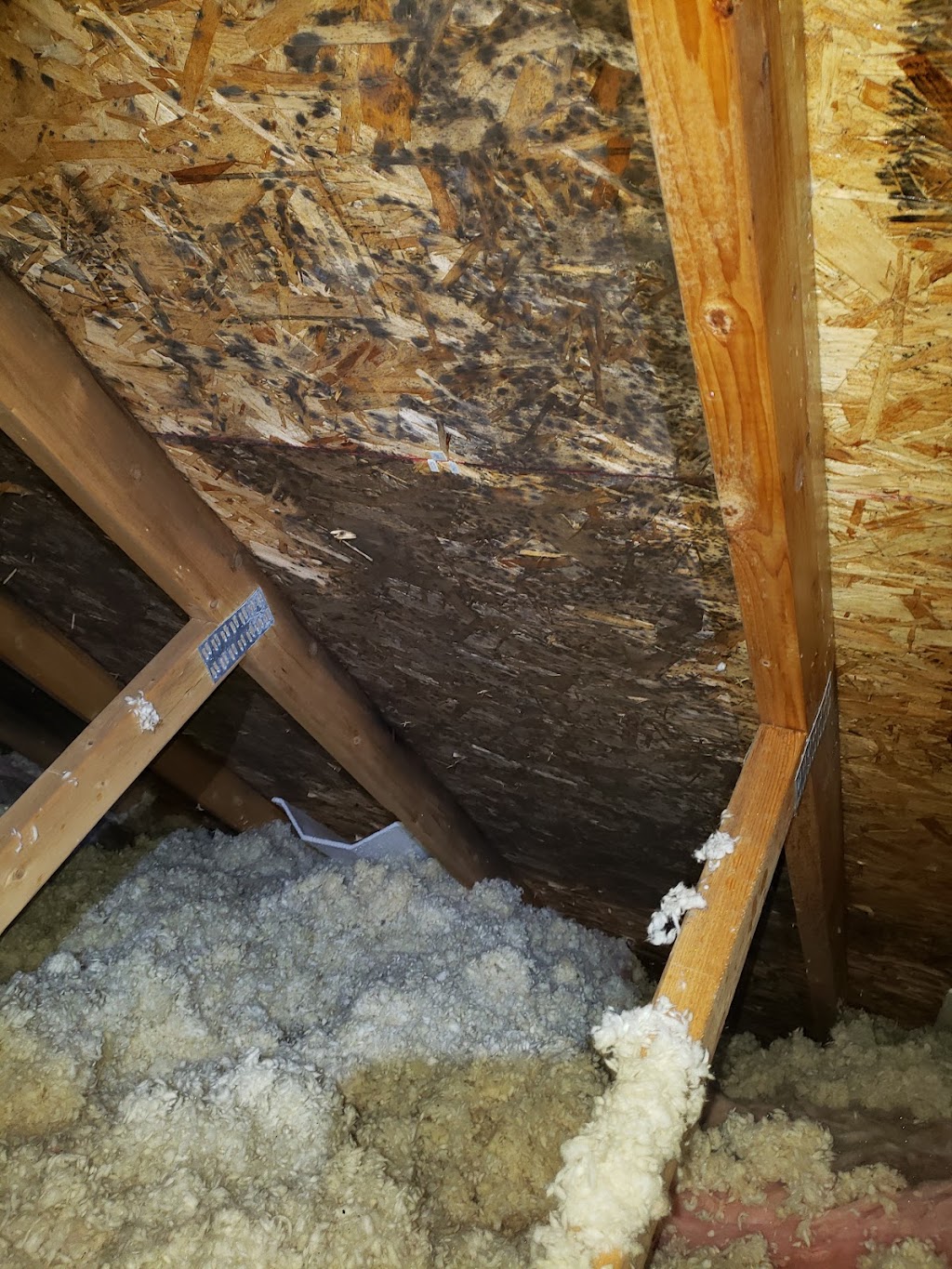 Prime Home Services INC. | 121 Sir Sanford Fleming Way, Vaughan, ON L6A 0V3, Canada | Phone: (647) 870-8453