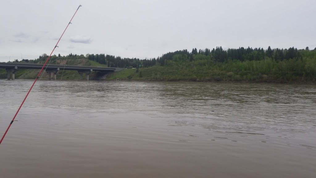 The Fishin Hole Ltd | 9078 51 Ave NW, Edmonton, AB T6E 5X4, Canada | Phone: (780) 465-0877